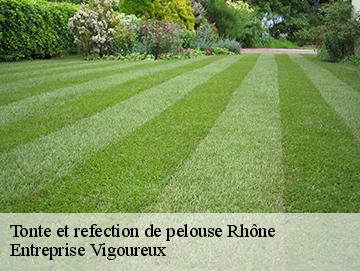 Tonte et refection de pelouse 69 Rhône LC Elagage