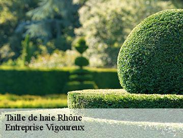 Taille de haie 69 Rhône LC Elagage