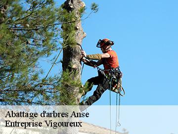 Abattage d'arbres anse-69480 LC Elagage