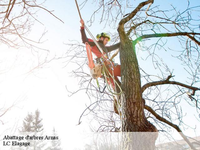 Abattage d'arbres  arnas-69400 Artisan Laforet