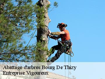 Abattage d'arbres  bourg-de-thizy-69240 LC Elagage