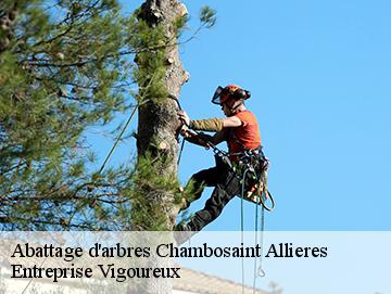 Abattage d'arbres  chambosaint-allieres-69870 LC Elagage