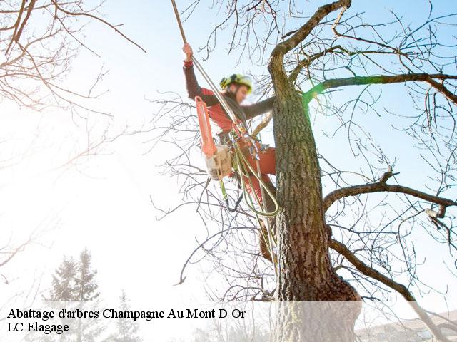 Abattage d'arbres  champagne-au-mont-d-or-69410 Artisan Laforet