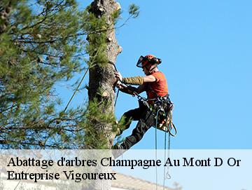 Abattage d'arbres  champagne-au-mont-d-or-69410 LC Elagage