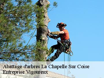 Abattage d'arbres la-chapelle-sur-coise-69590 LC Elagage