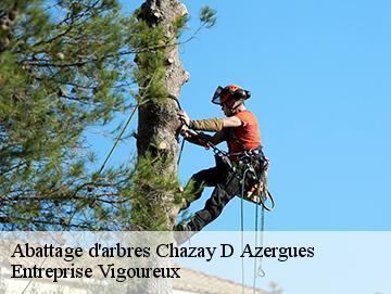 Abattage d'arbres  chazay-d-azergues-69380 LC Elagage