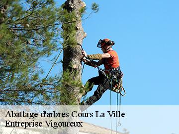 Abattage d'arbres cours-la-ville-69470 LC Elagage