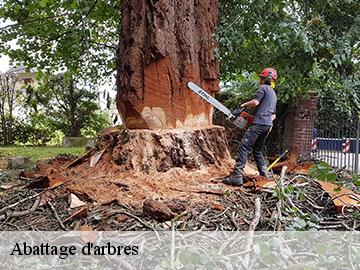 Abattage d'arbres