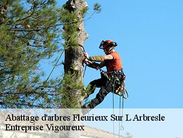 Abattage d'arbres  fleurieux-sur-l-arbresle-69210 LC Elagage