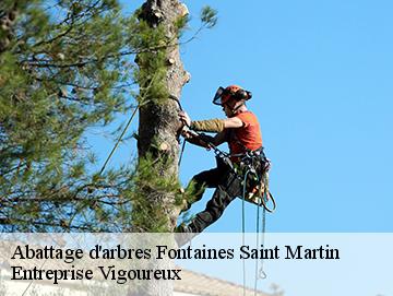 Abattage d'arbres  fontaines-saint-martin-69270 LC Elagage