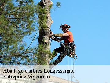 Abattage d'arbres longessaigne-69770 LC Elagage