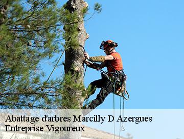 Abattage d'arbres  marcilly-d-azergues-69380 LC Elagage