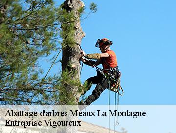 Abattage d'arbres meaux-la-montagne-69550 LC Elagage