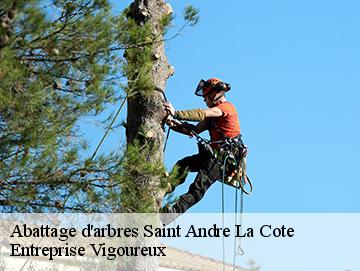 Abattage d'arbres  saint-andre-la-cote-69440 LC Elagage