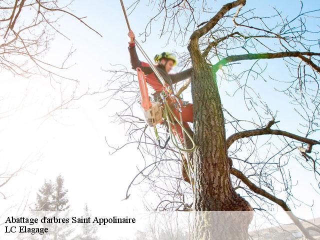 Abattage d'arbres  saint-appolinaire-69170 LC Elagage