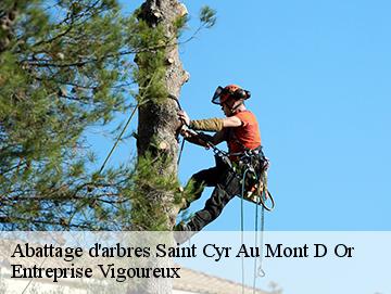 Abattage d'arbres saint-cyr-au-mont-d-or-69450 LC Elagage