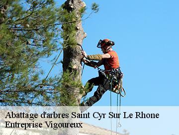 Abattage d'arbres saint-cyr-sur-le-rhone-69560 LC Elagage