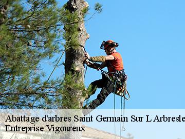 Abattage d'arbres saint-germain-sur-l-arbresle-69210 LC Elagage