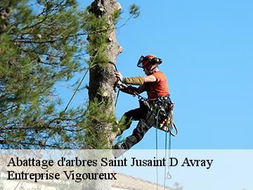 Abattage d'arbres saint-jusaint-d-avray-69870 LC Elagage