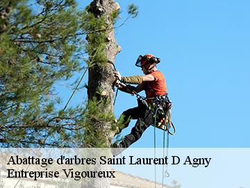 Abattage d'arbres saint-laurent-d-agny-69440 LC Elagage