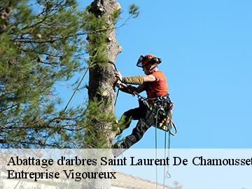 Abattage d'arbres  saint-laurent-de-chamousset-69930 LC Elagage