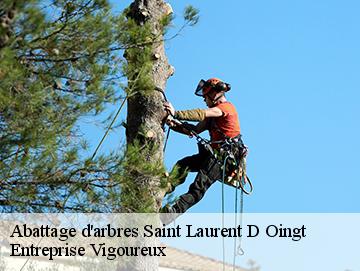Abattage d'arbres saint-laurent-d-oingt-69620 LC Elagage
