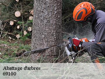 Abattage d'arbres  69100