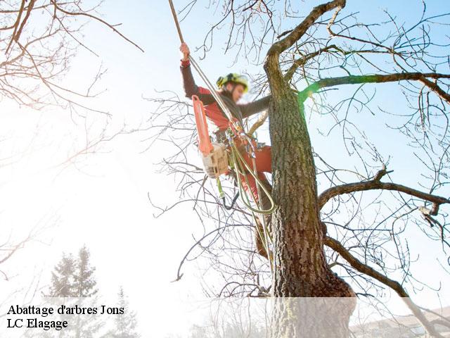 Abattage d'arbres  jons-69330 Artisan Laforet