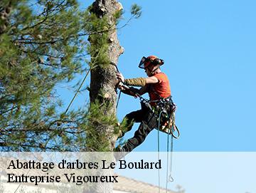 Abattage d'arbres le-boulard-69530 LC Elagage