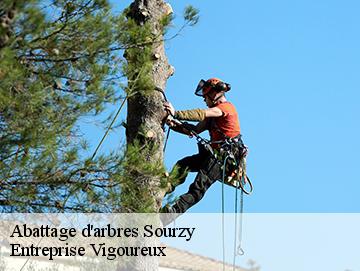 Abattage d'arbres  sourzy-69700 LC Elagage