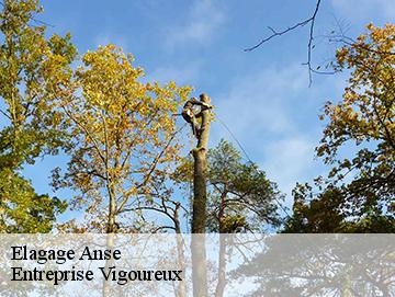 Elagage anse-69480 Artisan Laforet