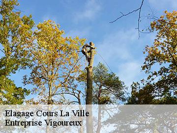 Elagage cours-la-ville-69470 Artisan Laforet
