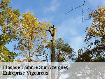 Elagage lamure-sur-azergues-69870 Entreprise Vigoureux