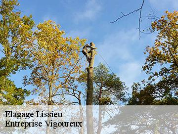 Elagage lissieu-69380 Entreprise Vigoureux