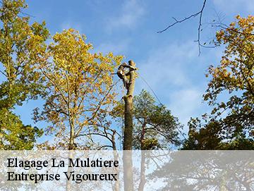Elagage la-mulatiere-69350 Artisan Laforet
