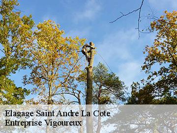 Elagage saint-andre-la-cote-69440 LC Elagage