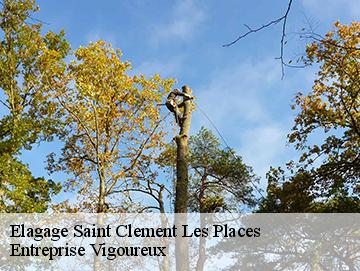 Elagage saint-clement-les-places-69930 Entreprise Vigoureux