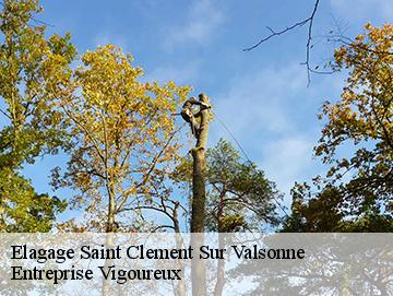 Elagage saint-clement-sur-valsonne-69170 LC Elagage