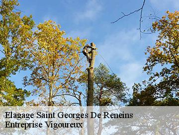 Elagage saint-georges-de-reneins-69830 Entreprise Vigoureux
