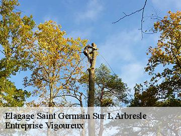 Elagage  saint-germain-sur-l-arbresle-69210 LC Elagage