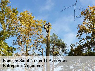 Elagage saint-nizier-d-azergues-69870 Elagage Lobry