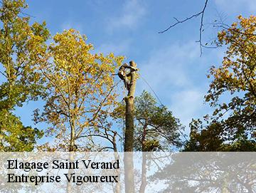 Elagage saint-verand-69620 Elagage Lobry