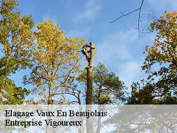 Elagage vaux-en-beaujolais-69460 Artisan Laforet