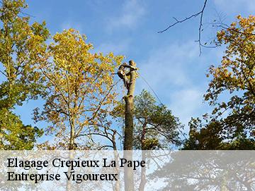 Elagage crepieux-la-pape-69140 Artisan Laforet