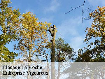 Elagage la-roche-69620 LC Elagage