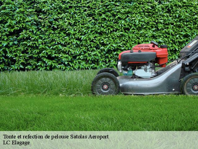 Tonte et refection de pelouse  satolas-aeroport-69125 LC Elagage