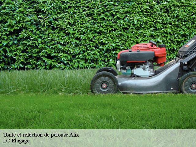 Tonte et refection de pelouse  alix-69380 LC Elagage