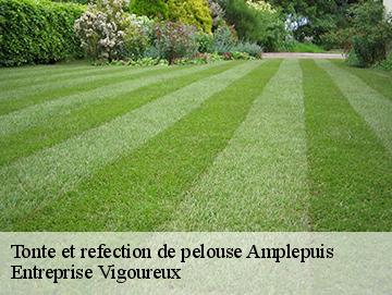 Tonte et refection de pelouse amplepuis-69550 Elagage Lobry