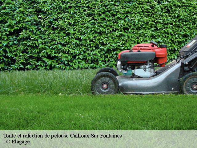 Tonte et refection de pelouse  cailloux-sur-fontaines-69270 LC Elagage