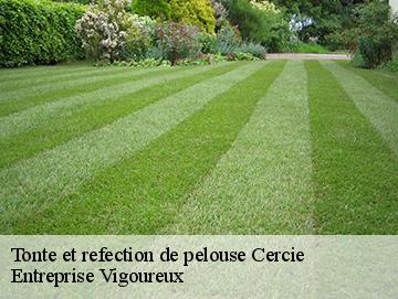 Tonte et refection de pelouse cercie-69220 Elagage Lobry